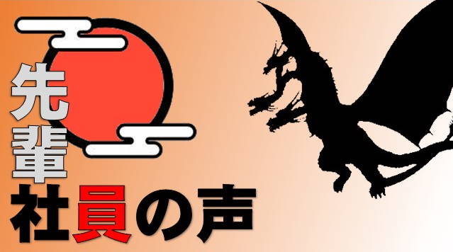 先輩社員の声